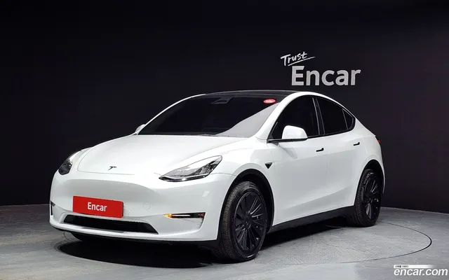 Tesla Model Y AWD — миниатюра 1