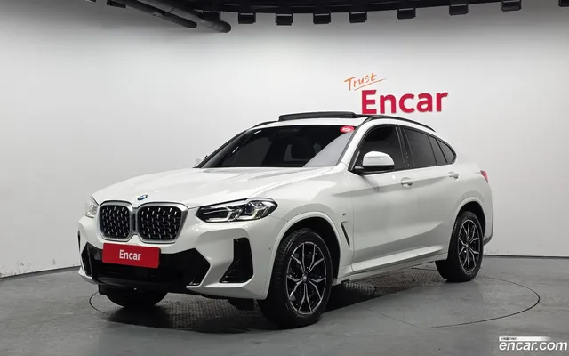 BMW X4 (G02) xDrive20i M — миниатюра 1