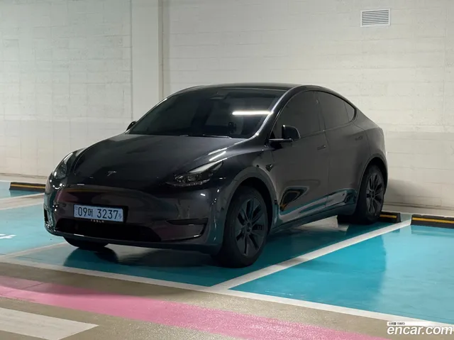 Tesla Model Y RWD — миниатюра 1