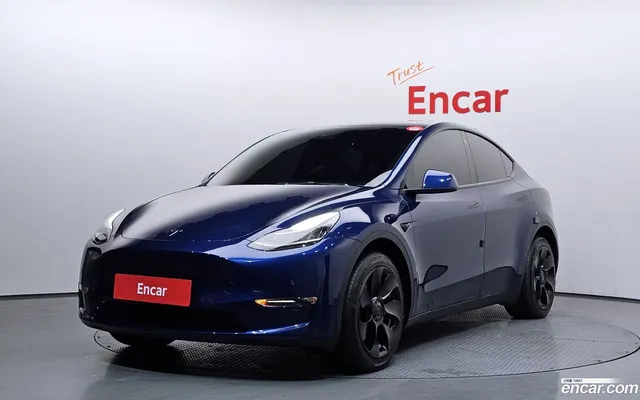 Tesla Model Y AWD — миниатюра 1
