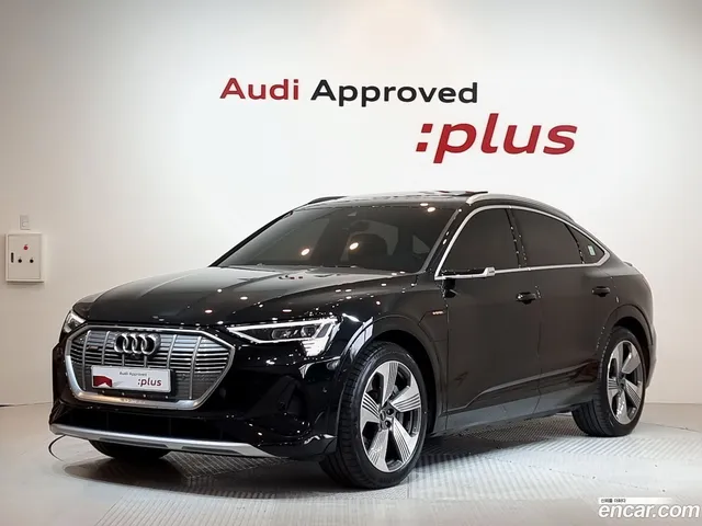 Audi e- 55 — миниатюра 1