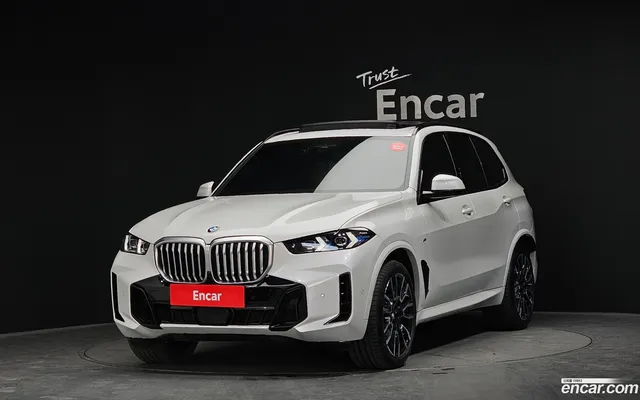 BMW X5 (G05) xDrive 40i M — миниатюра 1