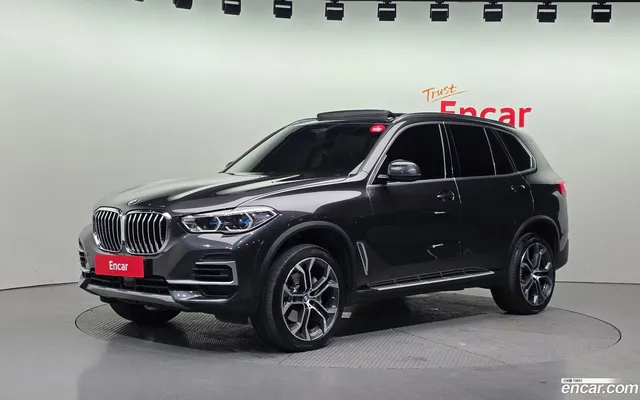 BMW X5 (G05) xDrive 30d xLine — миниатюра 1