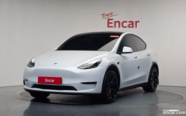 Tesla Model Y AWD — миниатюра 1