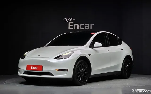 Tesla Model Y AWD — миниатюра 1