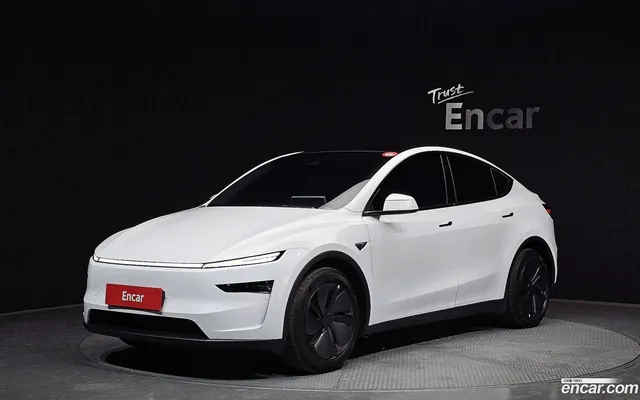 Tesla Model Y AWD — миниатюра 1