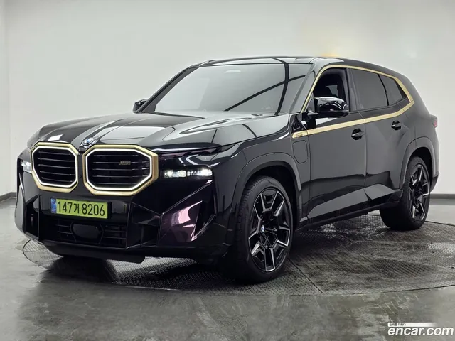 BMW XM (G09) 4.4 — миниатюра 1