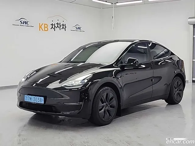 Tesla Model Y AWD — миниатюра 1