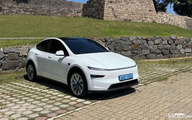 Tesla Model Y AWD — миниатюра 1