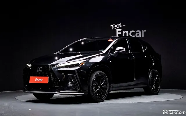 Lexus NX450h+ 2 F-Sport — миниатюра 1