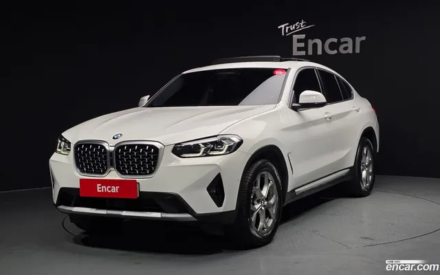 BMW X4 (G02) xDrive20i xLine — миниатюра 1