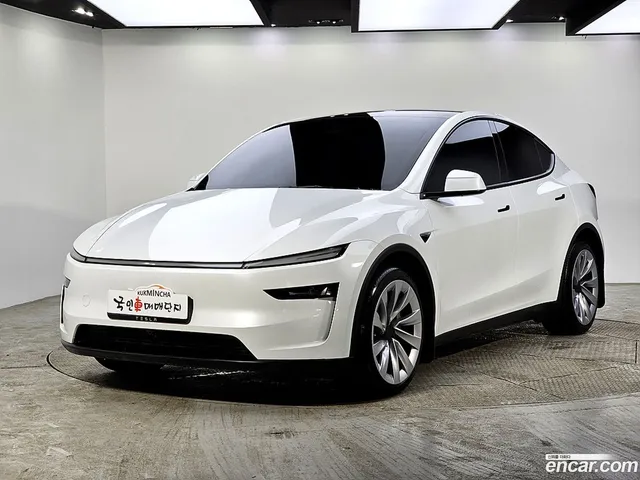 Tesla Model Y AWD — миниатюра 1