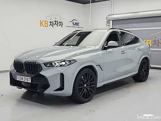 BMW X6 (G06) xDrive40d M — миниатюра 1