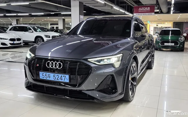 Audi e- S — миниатюра 1