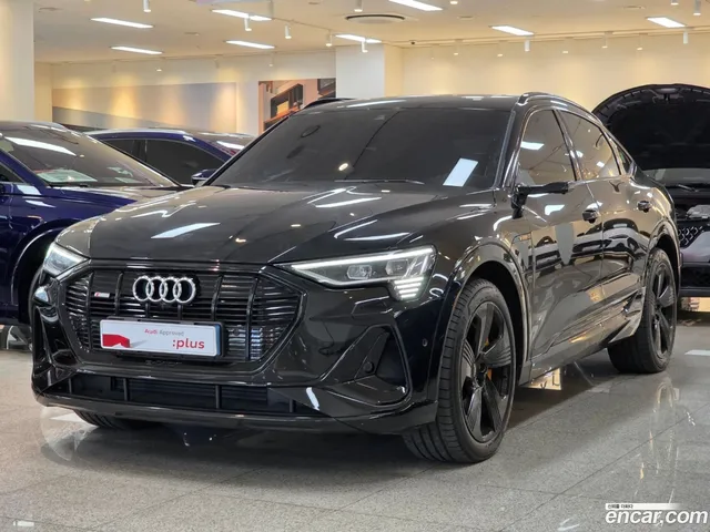 Audi e- 55 — миниатюра 1