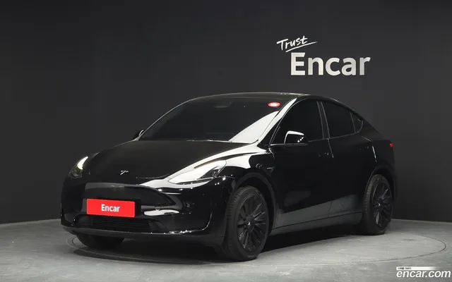 Tesla Model Y RWD — миниатюра 1