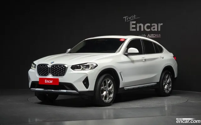 BMW X4 (G02) xDrive20i xLine — миниатюра 1