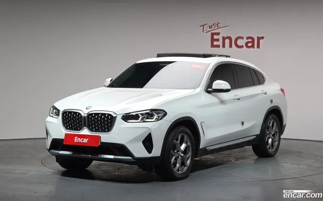 BMW X4 (G02) xDrive20i xLine — миниатюра 1