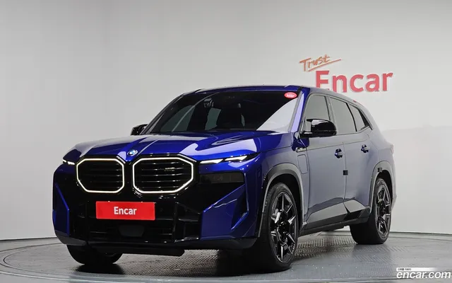 BMW XM (G09) 4.4 — миниатюра 1