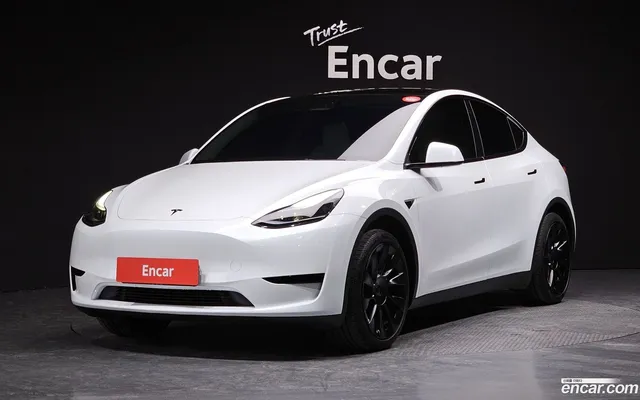 Tesla Model Y RWD — миниатюра 1