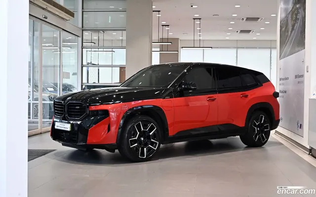 BMW XM (G09) 4.4 — миниатюра 1