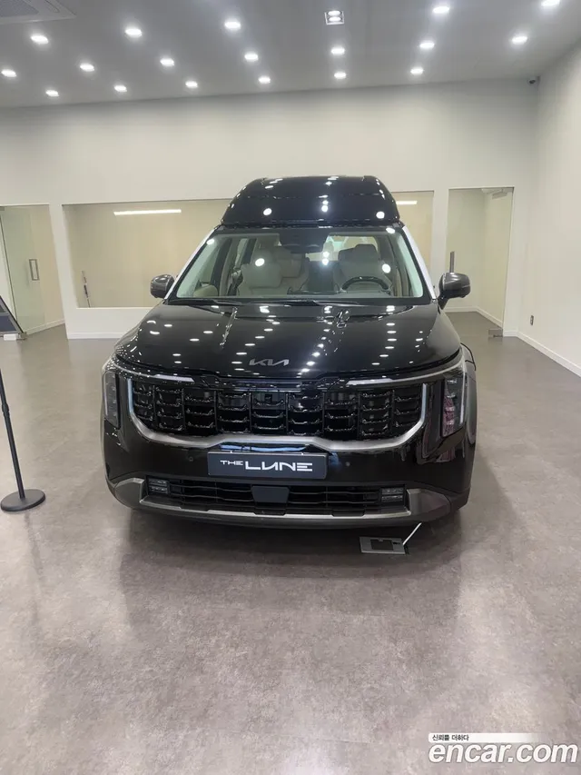 Kia Carnival 9 () — миниатюра 1