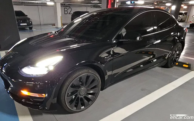 Tesla Model 3 AWD — миниатюра 1