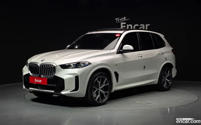 BMW X5 (G05) xDrive 30d M — миниатюра 1