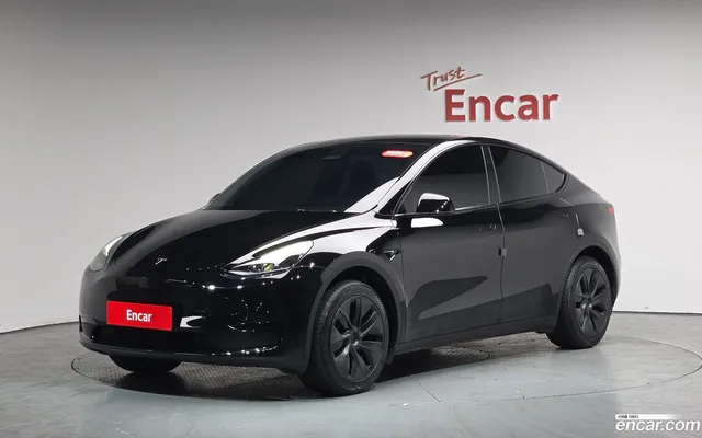 Tesla Model Y RWD — миниатюра 1