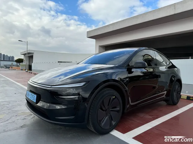 Tesla Model Y RWD — миниатюра 1