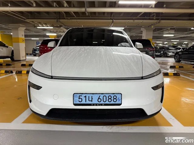 Tesla Model Y RWD — миниатюра 1