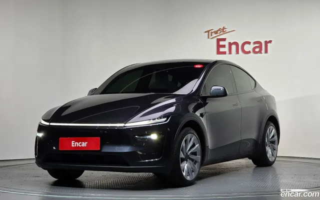 Tesla Model Y AWD — миниатюра 1