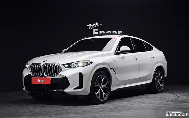 BMW X6 (G06) xDrive30d M — миниатюра 1