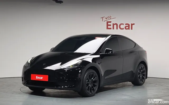 Tesla Model Y RWD — миниатюра 1