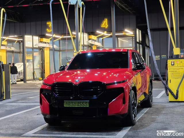 BMW XM (G09) 4.4 — миниатюра 1