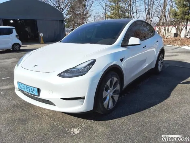 Tesla Model Y AWD — миниатюра 1