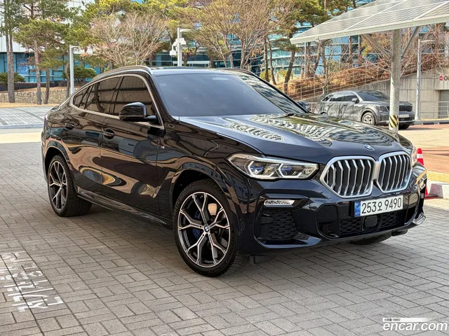 BMW X6 (G06) xDrive40i M — миниатюра 1