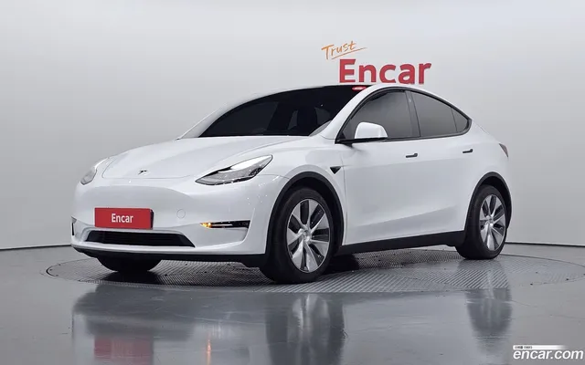 Tesla Model Y AWD — миниатюра 1