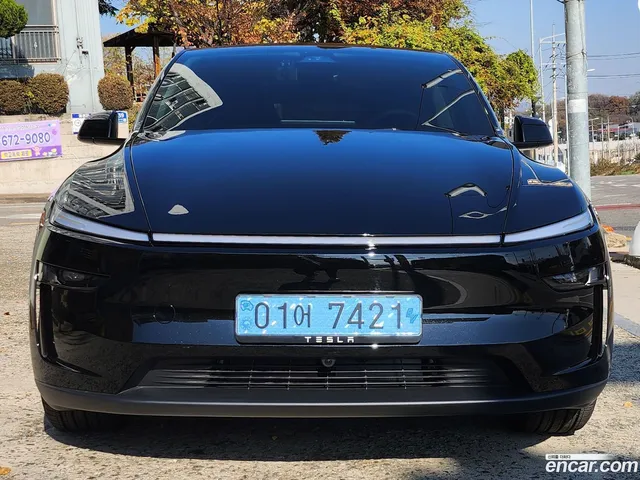 Tesla Model Y AWD — миниатюра 1