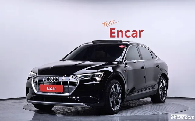 Audi e- 50 — миниатюра 1