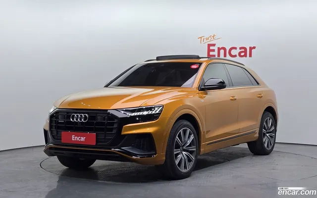 Audi Q8 (4M) 55 TFSI — миниатюра 1
