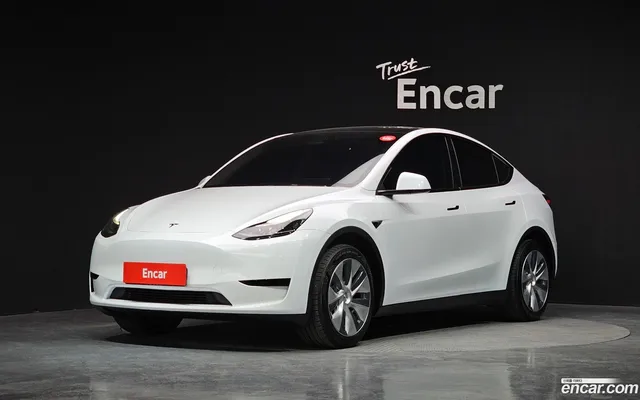 Tesla Model Y RWD — миниатюра 1