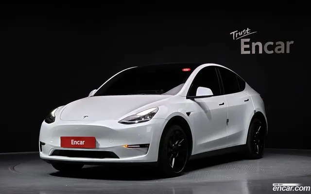 Tesla Model Y AWD — миниатюра 1