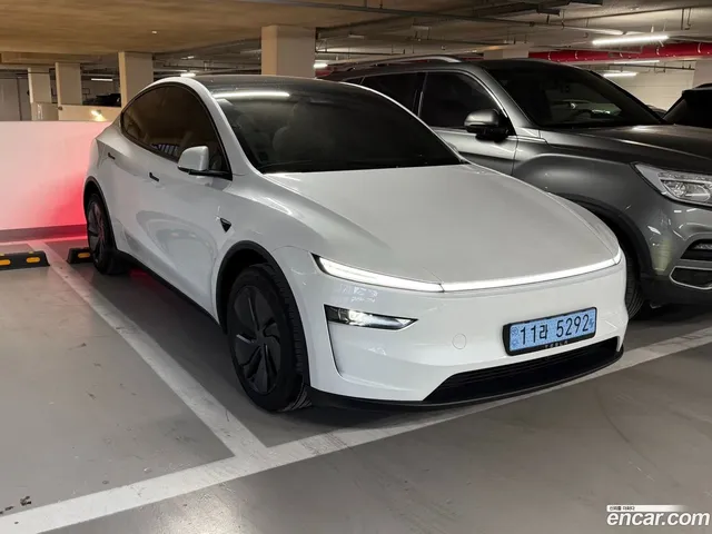 Tesla Model Y RWD — миниатюра 1
