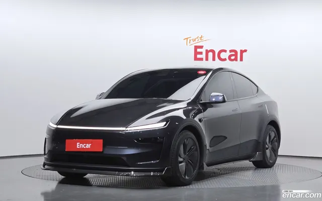 Tesla Model Y AWD — миниатюра 1