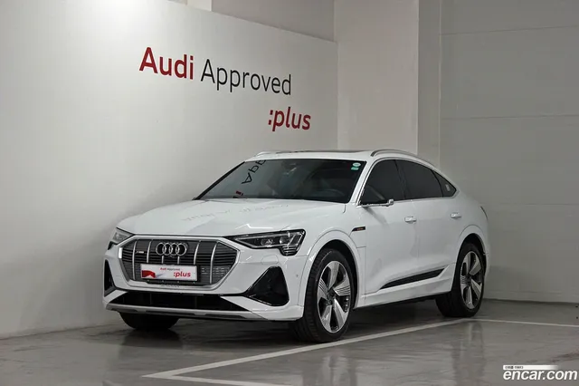 Audi e- 55 — миниатюра 1