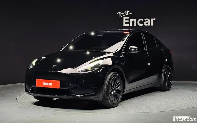 Tesla Model Y RWD — миниатюра 1