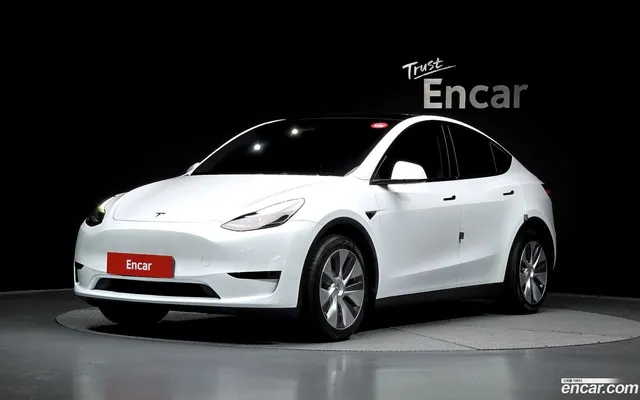 Tesla Model Y RWD — миниатюра 1
