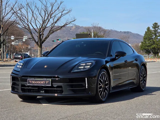 Porsche Panamera (976) 2.9 AWD — миниатюра 1