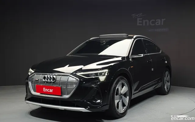 Audi e- 55 — миниатюра 1